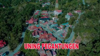 Uning Pegantungen adalah sebuah kampung di Kecamatan Bies, Kabupaten Aceh Tengah,2026