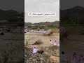 الله المستعان بس قمة الغباء