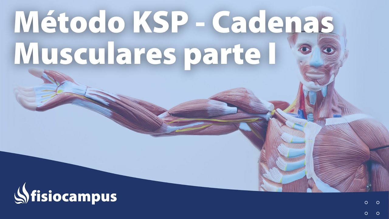 Método K Stretch Postural KSP - Cadenas Musculares parte I
