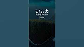 #صوت_جميل_رائع #القارئ_أحمد_خضر #راحة_نفسية #قران_كريم #quranreaction #راحه_للقلب #سورة_الصف