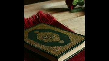 ماهر المعقيلي فقراءته لسورة البقرة سورة ال عمران سورة النساء و سورة المائدة