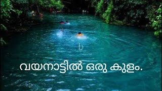 കുളം ഉണ്ടാക്കുന്നത് എങ്ങനെ എന്ന് കാണാം.Here&#39;s how to make a pool.wayanad