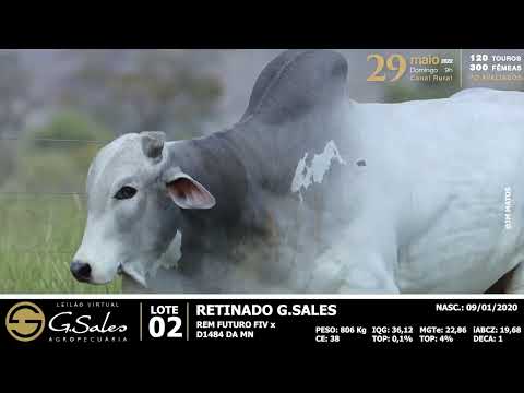 Lote 02 MFBN 6885