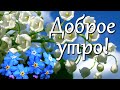 Доброе утро! Отличного дня! Будьте счастливы! Красивое пожелание С Добрым утром