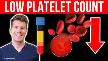 Doctor explains LOW PLATELET COUNT (Thrombocytopenia) | Causes, symptoms and more