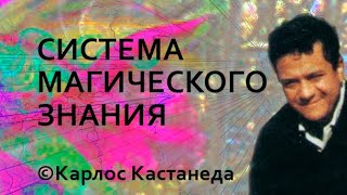 Система магического знания © Карлос Кастанеда