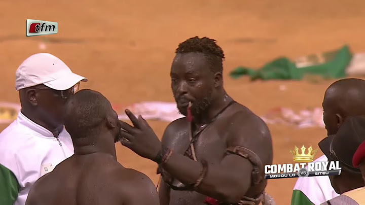 Combat Royal Modou Lo vs Siteu - Résumé de tous les combats - 24 Novembre 2024