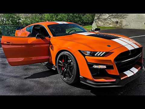 Video: Hvilken shelby mustang er best?