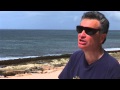 West Oahu S Limu Where Did It All Go West Oahu S Limu Where Did It All Go