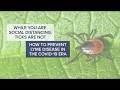 While You are Social Distancing, Ticks Are Not - Tips on Protecting Yourself from Lyme Disease