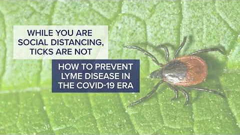 While You are Social Distancing, Ticks Are Not - Tips on Protecting Yourself from Lyme Disease