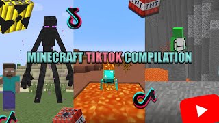 Steve or Herobrine? | Minecraft TikTok Compilation