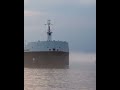 Steering System Causes Bulk Carrier S 2 Million Collision Shipping Bulkcarrier Ntsb Steering System Causes Bulk Carrier S 2 Million Collision Shipping Bulkcarrier Ntsb