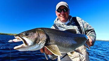 LAKE TROUT SPAWNING SHOAL FOUND AT THE YELLING LAKE OUTPOST