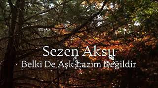 Sezen Aksu- Belki De Aşk Lazım Değildir Resimi