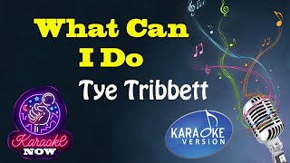 [Karaoke] Tye Tribbett- What Can I Do