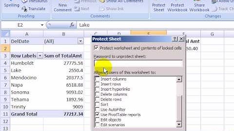 Allow Excel Pivot Table on Protected Sheet
