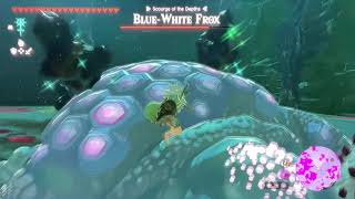 [Tryhard with Weak Weapons] Zelda TOTK - Blue-White Frox  - (No Damage/No Damage Buff)