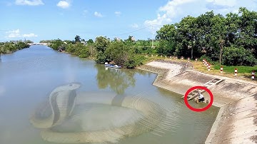 bẫy rắn mùa mưa. địa điểm rắn hổ đã bị lộ | Cần gò Công