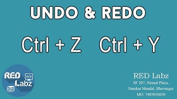 Undo Redo = Ctrl + Z Ctrl + Y
