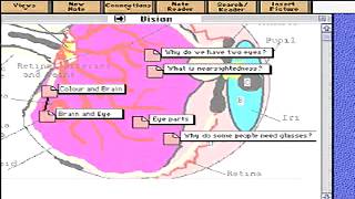 Knowledge Forum as Explained by Learning in Motion