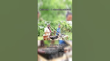 Live performance  analog electronic music and #acousticmusic #analogmusic #synthesizer #music