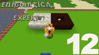 Botania&#39;ya Giriş ! Enigmatica 2:Expert | Bölüm 12