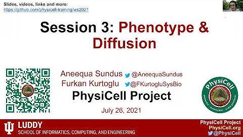 PhysiCell ws2021 Session 3: Phenotype & Diffusion (Part 1)