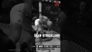Happy Birthday Sean Strickland Pressure and chaos. #SeanStrickland #UFCBirthday #FightArchive #UFC