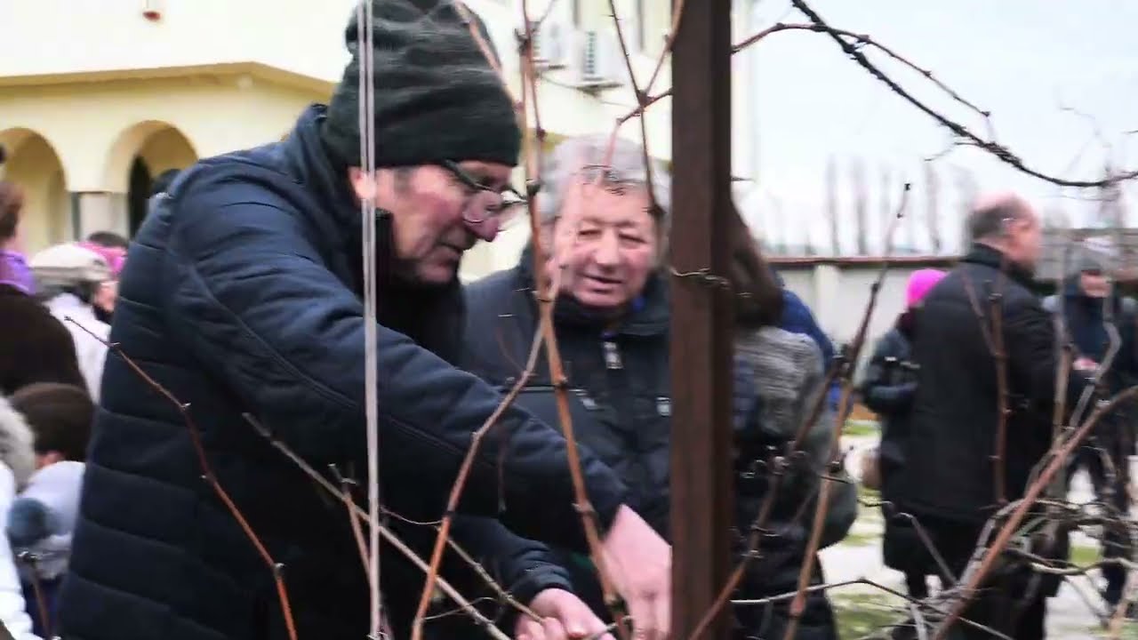 Трифон Зарезан / Будапеща, 15 февруари, 2026 г.