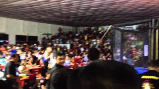 IMG 7674