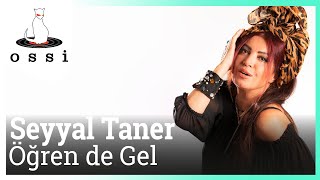 Seyyal Taner - Öğren de Gel Resimi