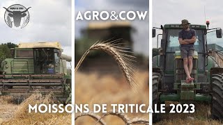 MOISSONS de TRITICALE 2023 🌾 | JOHN DEERE 8820 | Semis Direct