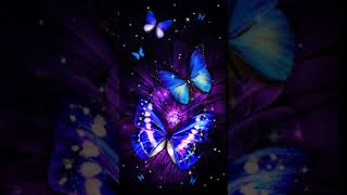 Luxury purple butterflyLive Animated screenshot 2