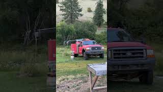 My Collection Of Ferds