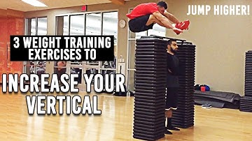 INCREASE your vertical | 3 KEY weight training exercises