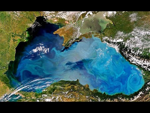 «Юный зоолог» . Наука – этология. Как понять животное