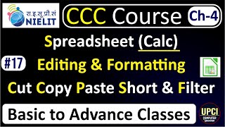 CCC Course |  libre Office Calc,Manipulation of Cells &amp; Sheet | Chapter 4  Hindi | Lecture-17