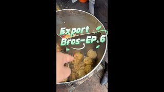Export Bros: South America Expedition-Ep.6