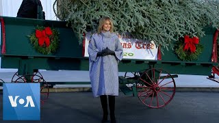 White House Christmas Tree Arrives