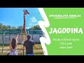 Jagodina (Muzej voštanih figura, ZOO park & Aqua park) | Travel vlog