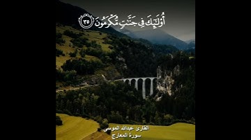 #قران_كريم #قرآن #اكسبلور #اكسبلور_explore #تلاوات #دينيه #اسلاميات