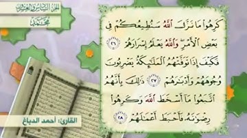 آية٢٧سورة محمد مكرر القارئ أحمد الدباغ
