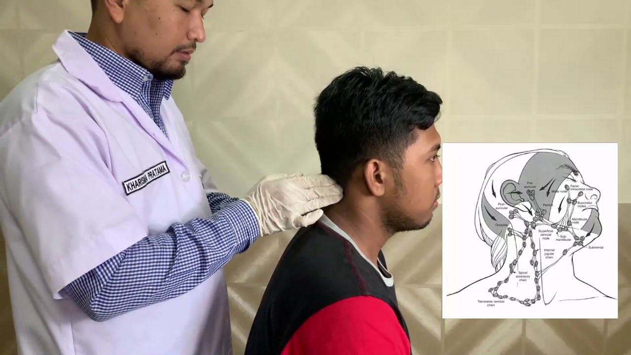 Pemeriksaan Fisik Sistem Imunologi & Hematologi