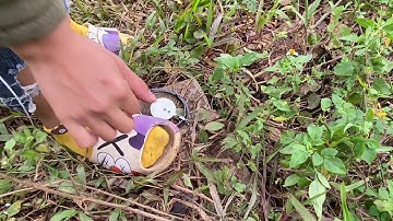 Bội thu khi sử dụng chiếc cạm này bẫy chuột .giá 8k/1c.Lh e:0392029881