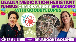 Deadly Medication Resistant Fungus Candida Auris Spreading with Goodbye Lupus @BrookeGoldnerMD