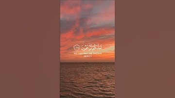 قران كريم بصوت القارئ احمد العجمي