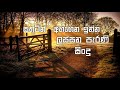        best sinhala old songs collection  lassan parana sindu