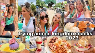 Trying All the Snacks at Animal Kingdom 2023