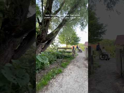 سحر الطبيعة الهولندية Calm Moments In Dutch Forests